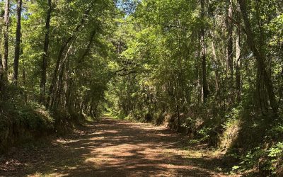 Tallahassee to Havana Trail/Orchard Pond Greenway – Environmental Impact & Alternatives Study (Leon County)